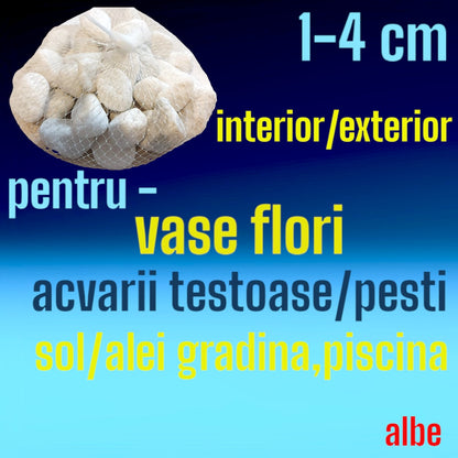 Saculet pietre decorative, kg, interior sau exterior, albe, 1-4 cm