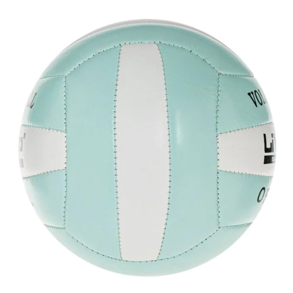 Minge de volei, LiveUp, mini, alb/verde deschis, Nr.2, 13.3~13.7cm